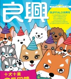 良興門市DM-2