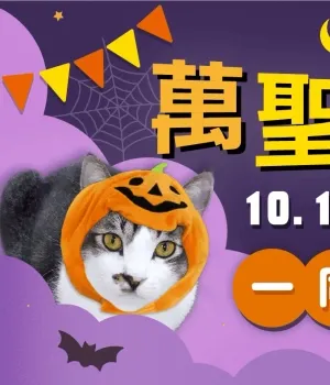 貓侍-10月活動EDM 萬聖狂歡月．一同來搗蛋-型錄封面